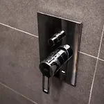 Shortmi Borsieri